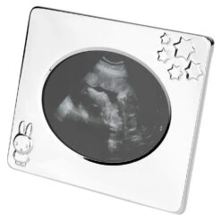 Zilverstad Echolijstje Nijntje Verzilverd