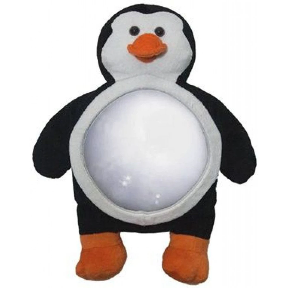 Little Luca Pinguin Autospiegel